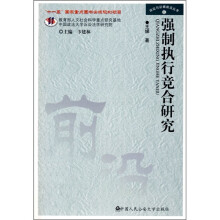 强制执行竞合研究