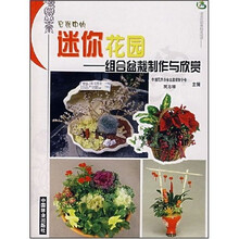 容器中的迷你花园：组合盆栽制作与欣赏