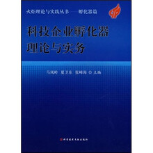 科技企业孵化器理论与实务