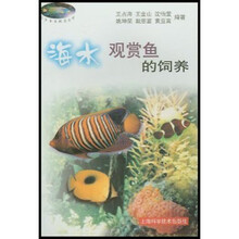 海水观赏鱼的饲养