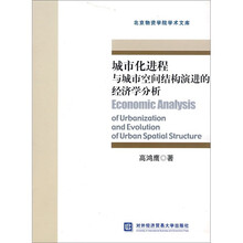 城市化进程与城市空间结构演进的经济学分析