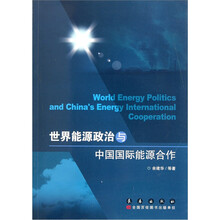 世界能源政治与中国国际能源合作