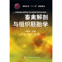 畜禽解剖与组织胚胎学