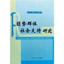 弱势群体社会支持研究