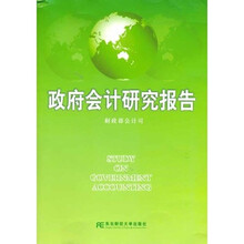 政府会计研究报告