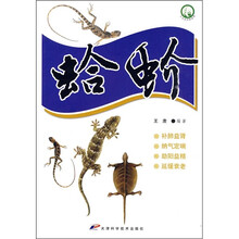 蛤蚧