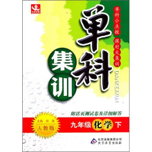 单科集训:9年级化学(下)(人教版)
