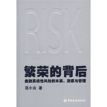 繁荣的背后：金融系统性风险的本质、测度与管理