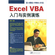 Excel  VBA 入门与实例演练（附CD-ROM光盘1张）