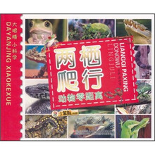 小笨熊典藏·大眼睛小科学：两栖爬行动物零距离