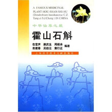 中华仙草之最：霍山石斛