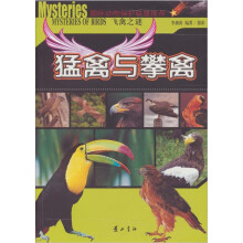 飞禽之谜：猛禽与攀禽