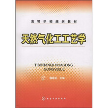 高等学校规划教材:天然气化工工艺学