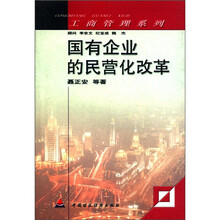 国有企业的民营化改革/工商管理系列