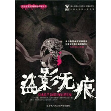 盗影无痕