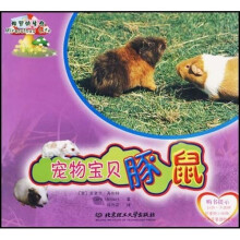 神奇的生命：宠物宝贝豚鼠