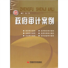 政府审计案例