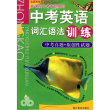 新课程中考专项复习：中考英语词汇语法训练