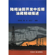 陆相油田开发中后期油藏精细描述