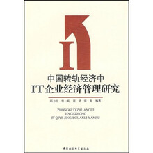 中国转轨经济中IT企业经济管理研究