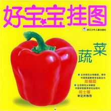 好宝宝挂图:蔬菜