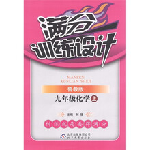 满分训练设计：化学（9年级上）（鲁教版）