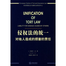 侵权法的统一：对他人造成的损害的责任