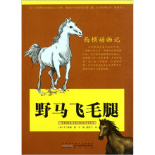 西顿动物记:野马飞毛腿
