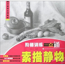 美术基础实用教材·阶梯训练一点通：素描静物
