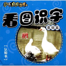 小不点的世界2：看图识字（基础篇）