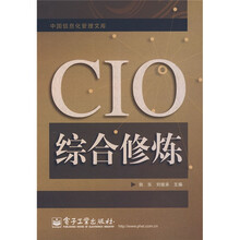 CIO综合修炼