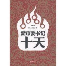 新市委书记十天