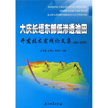 大庆长垣东部低渗透油田开发技术实践论文集（2006-2007年）