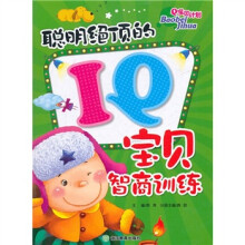 Q宝贝计划：聪明绝顶的IQ宝贝智商训练