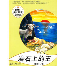 岩石上的王(附光盘)