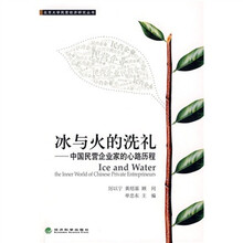 冰与火的洗礼：中国民营企业家的心路历程