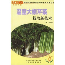 温室大棚芹菜栽培新技术