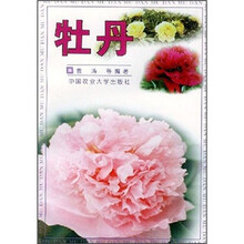 牡丹