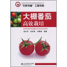 大棚番茄高效栽培