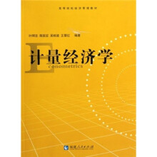 高等院校经济管理教材：计量经济学