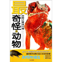动物之最排行榜：最奇怪的动物