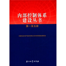 内部控制体系建设丛书(1-5册)