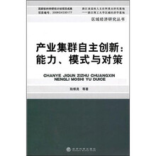 产业集群自主创新：能力、模式与对策