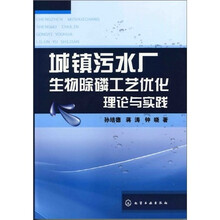城镇污水厂生物除磷工艺优化理论与实践