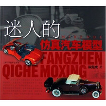 迷人的仿真汽车模型