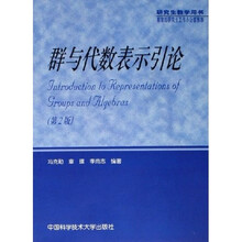 群与代数表示引论（研究生教学用书）