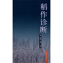 稻作诊断