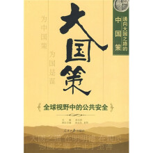 通向大国之路的中国策:全球视野中的公共安全