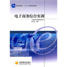 普通高等教育十一五国家规划教材:电子商务综合实训(附CD光盘1张)