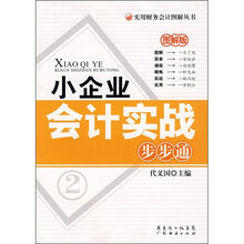 小企业会计实战步步通